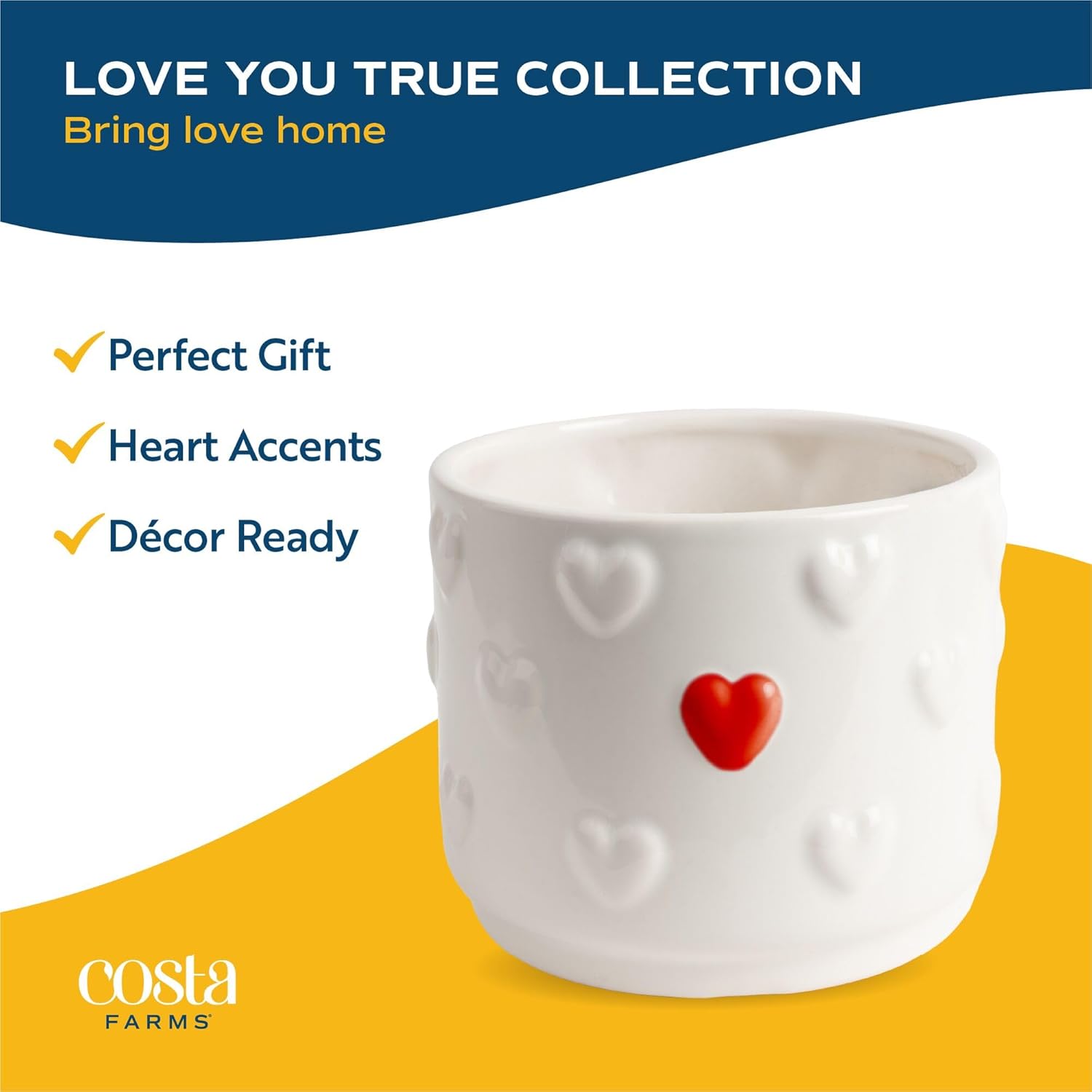 Costa Farms Live Anthurium Indoor Houseplant, Flamingo Flower with Heart-Shaped Red Blooms, 10-14 Inches Tall in Decorative Pot, Natural Air Purifier for Home or Office Decor, Gift for Her