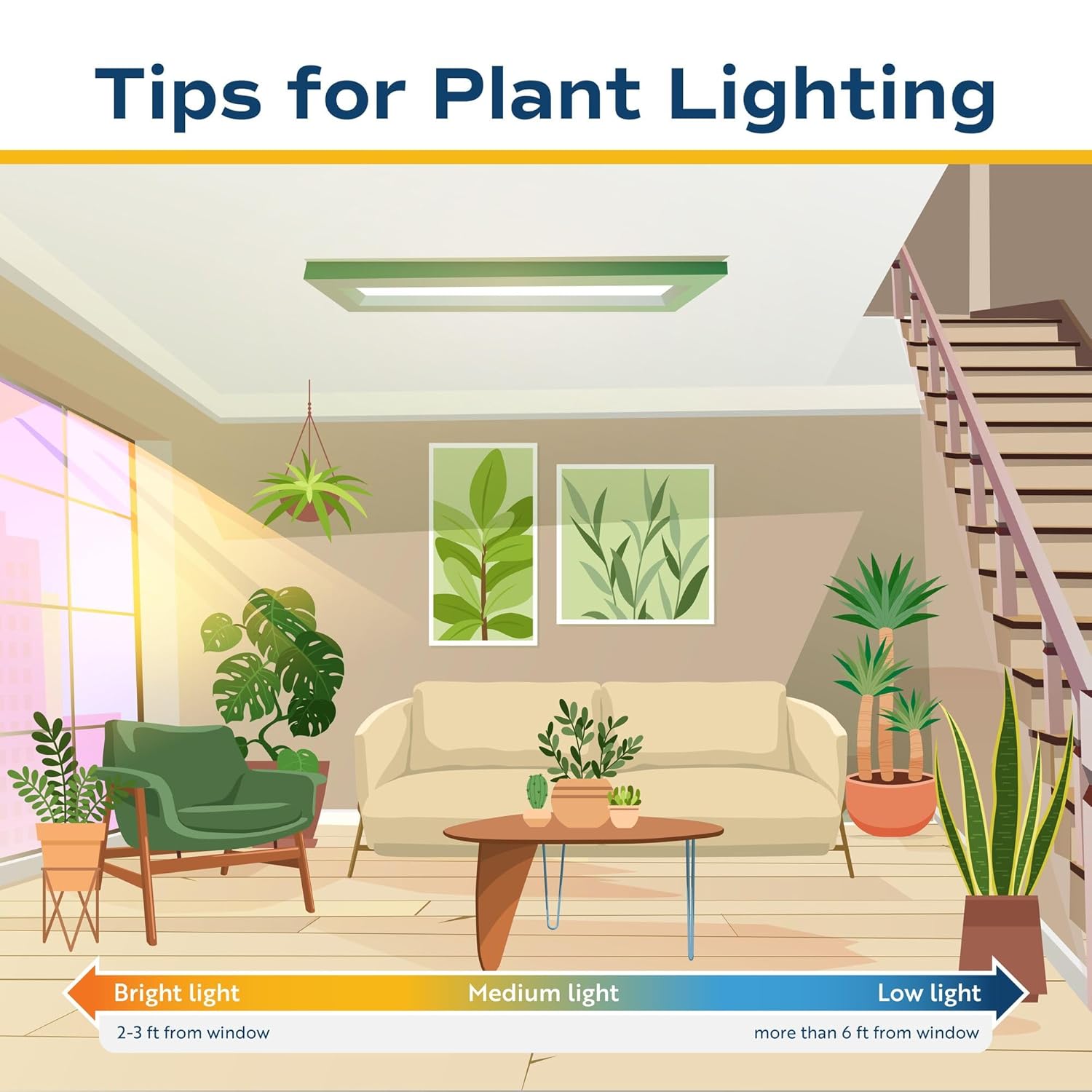 Costa Farms Live Indoor House Plants (4-Pack), Hand Selected Easy to Maintain Indoor Assorted Houseplants, Curated Air Purifying Mix, Low Light, Home Office Decor Plant Gift