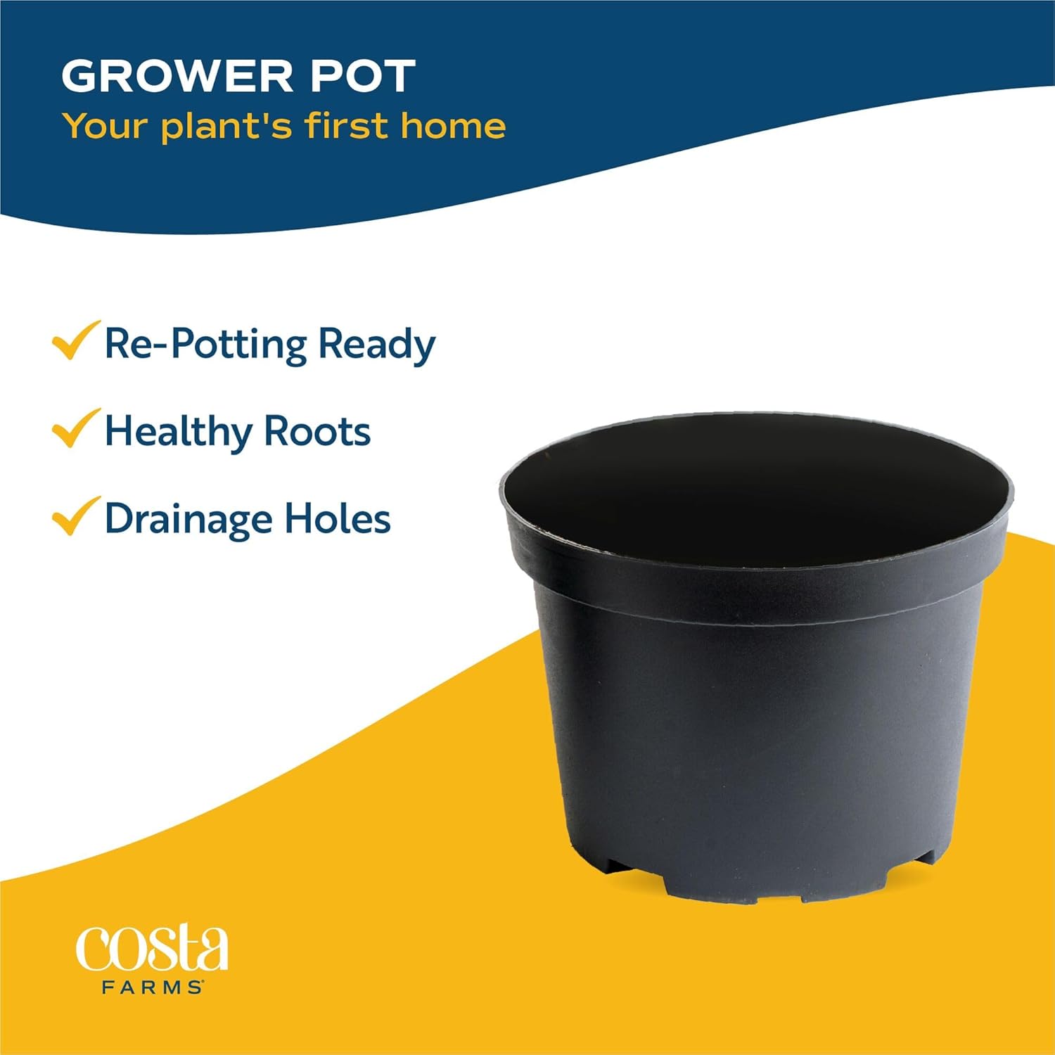 Costa Farms Live Indoor House Plants (4-Pack), Hand Selected Easy to Maintain Indoor Assorted Houseplants, Curated Air Purifying Mix, Low Light, Home Office Decor Plant Gift